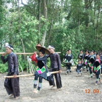 Basha Miao Village, Guizhou Tours
