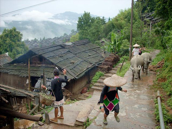 Basha Miao Village