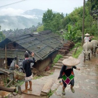 Basha Miao Village, Guizhou Tours