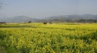 Chejiang Dong Villages