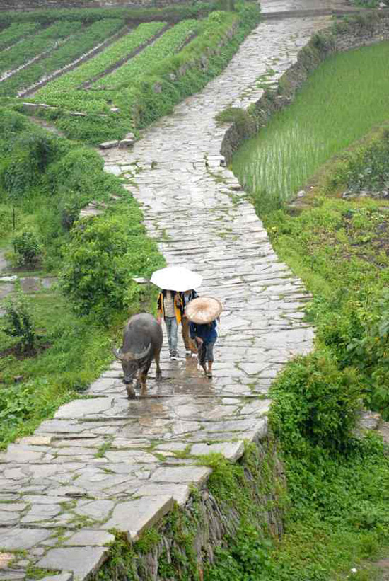 Qingyan Ancient Town