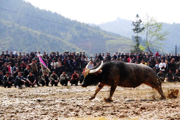 Guizhou Sisters' Meal Festival