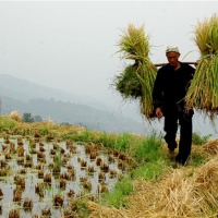 Tang'an Dong Village