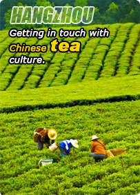 Hangzhou Tea Culture Tour