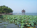 Hangzhou Tour