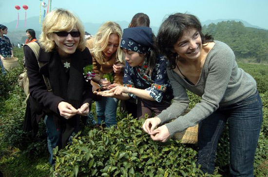 Hangzhou Longjing Tea Plantation, Hangzhou Travel Photos