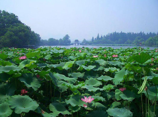 West Lake, Hangzhou Travel Photos