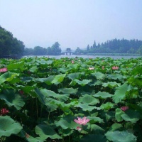 West Lake, Hangzhou Tours