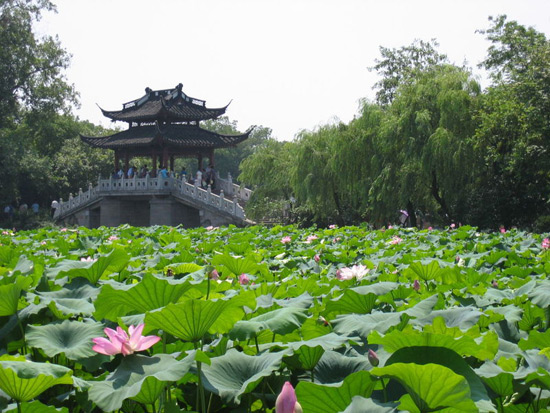 West Lake, Hangzhou Travel Photos