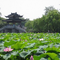 West Lake, Hangzhou Tours