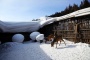 China's Snow Town,Harbin Attractions Photos