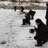 Harbin International Ice and Snow Festival,Travel in Harbin