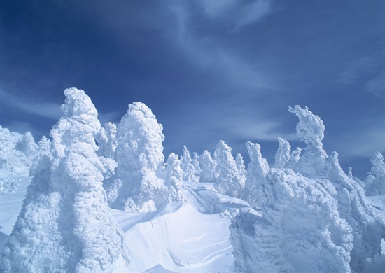 Harbin ice and snow sculptures