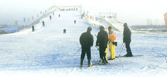 Harbin ice carving