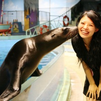 Harbin Polarland