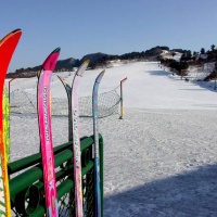 Harbin Institute Of Physical Education Skifield