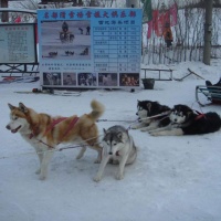 Mingdu Ski Field