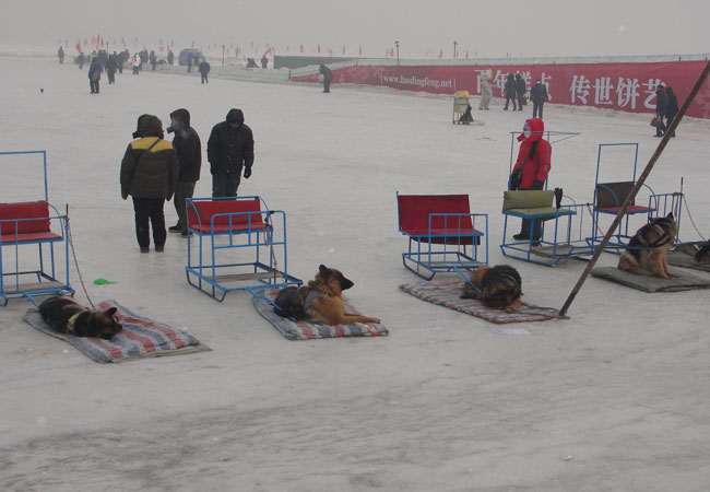 Harbin Winter Activities,China Winter Travel