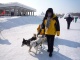 Sun Island, Harbin Winter Travel Photos