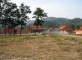 East Qing Tombs