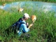 Zhalong Nature Reserve