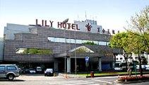 lily hotel