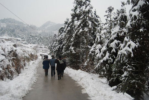 snow Huangshan Mountain anhui
