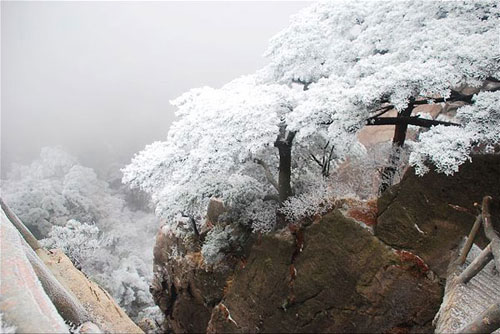 Mt. Huangshan