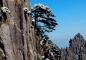 Huangshan Natural Wonders