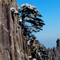 Huangshan Natural Wonders