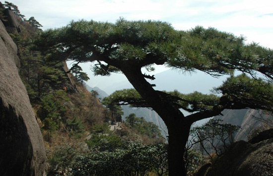 Huangshan Natural Wonders