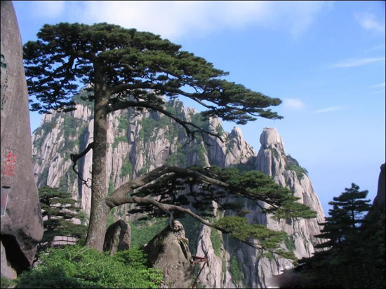 Huangshan Natural Wonders