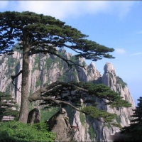 Huangshan Natural Wonders