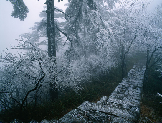 Huangshan Natural Wonders