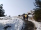 Mt. Huangshan, Mount Huangshan, The Yellow Mountain