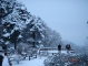 Mt. Huangshan, Mount Huangshan, The Yellow Mountain