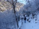 Mt. Huangshan