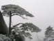 Mt. Huangshan, Mount Huangshan, The Yellow Mountain