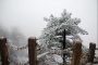 Mt. Huangshan, Mount Huangshan, The Yellow Mountain