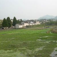 Xidi Village, Huangshan Tours