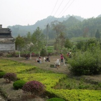 Xidi Village, Huangshan Tours