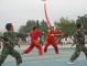 Chinese Wushu or Kung Fu