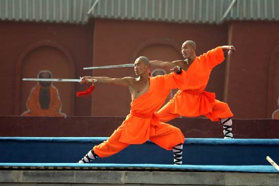 Chinese Wushu or Kung Fu