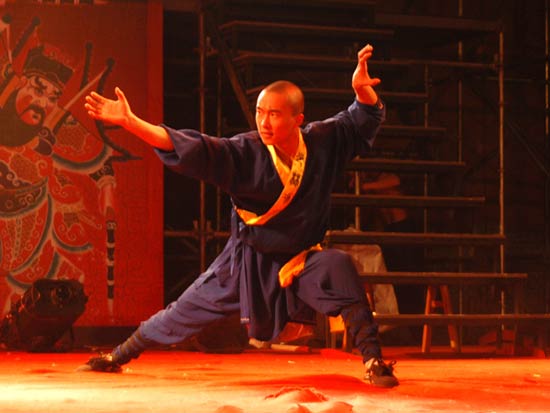 Chinese Wushu or Kung Fu