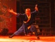 Chinese Wushu or Kung Fu