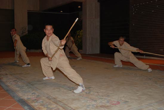 Chinese Wushu or Kung Fu