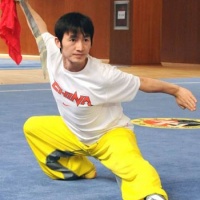 Chinese Wushu or Kung Fu