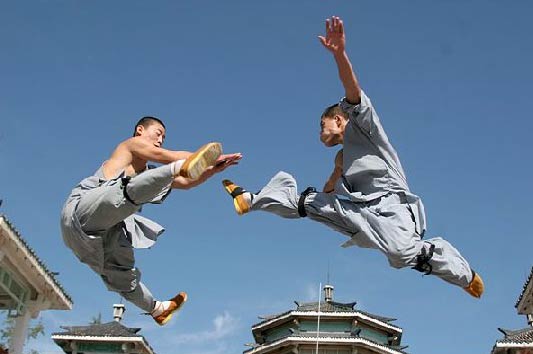 Chinese Wushu or Kung Fu