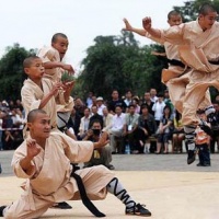 Chinese Wushu or Kung Fu