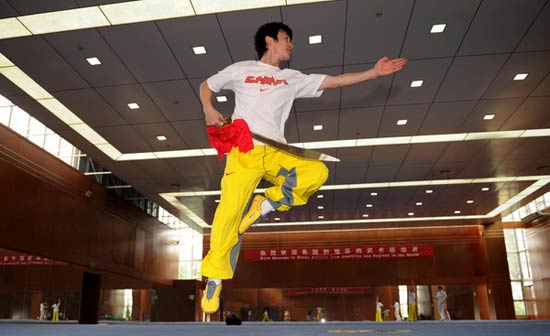 Chinese Wushu or Kung Fu